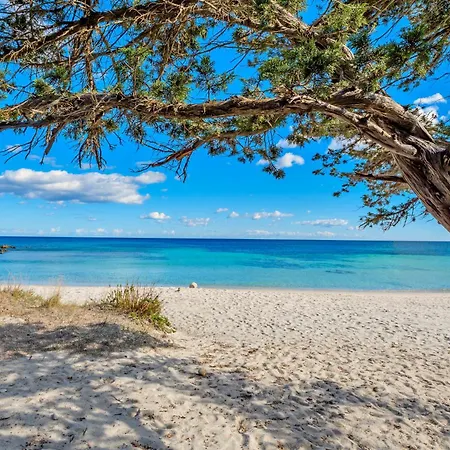 Ambra Fronte * San Teodoro (Sardinia)